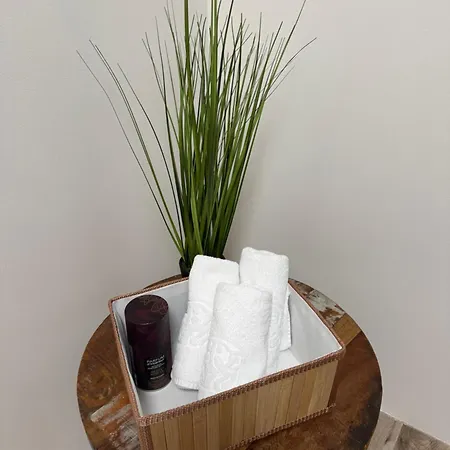 Baroko 布劳莫夫